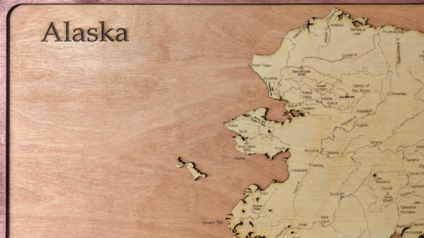 Alaska Wood Map - Image 7