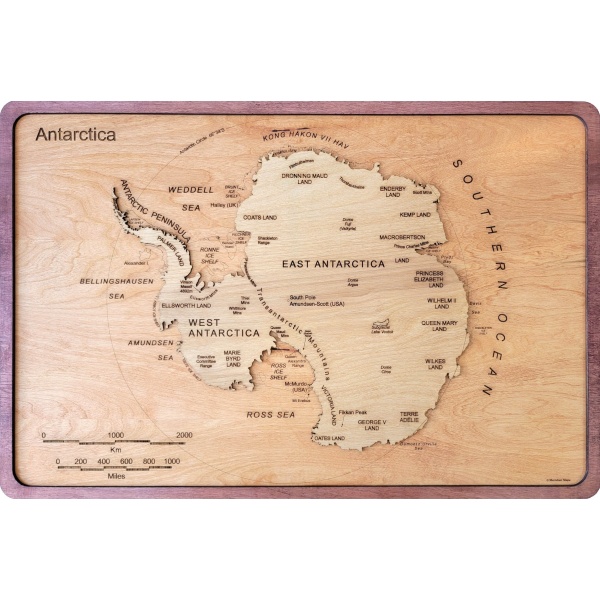 Antarctica Wood Map - Image 6