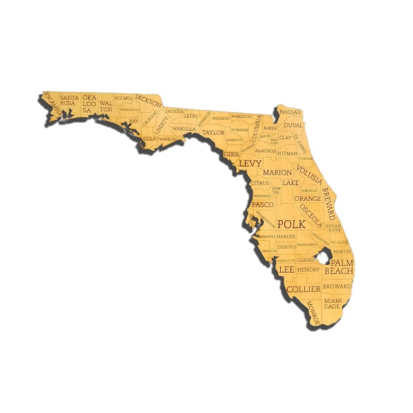 Florida State County Wood Map - Image 2