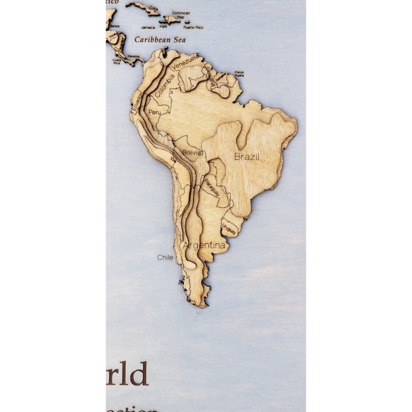 World Wood Map - Image 15